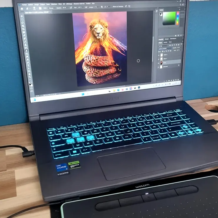 Art tempo dessin digital